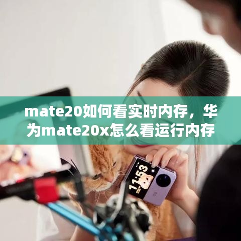 mate20如何看实时内存,华为mate20x怎么看运行内存用了多少