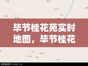 毕节桂花苑实时地图,毕节桂花苑在哪里