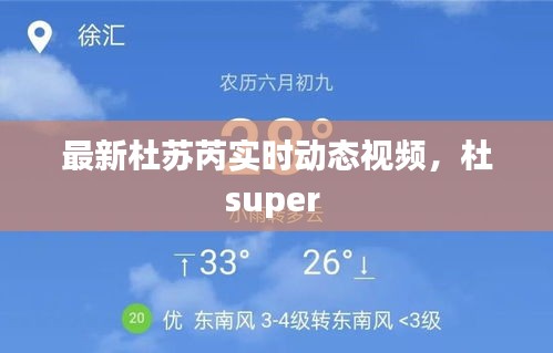 最新杜苏芮实时动态视频,杜super