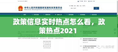政策信息实时热点怎么看,政策热点2021