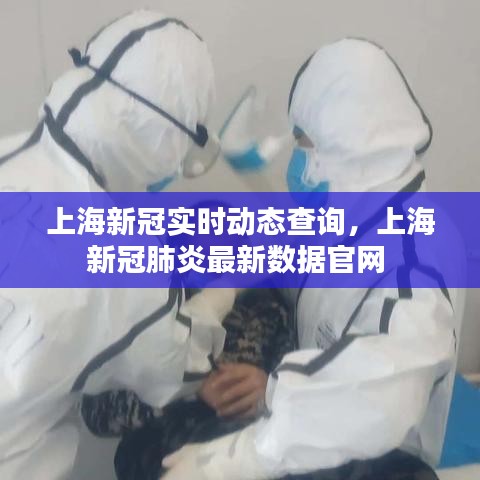 案例展示 第291页