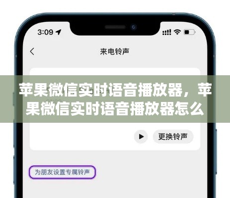 苹果微信实时语音播放器,苹果微信实时语音播放器怎么设置