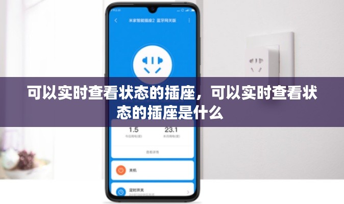 可以实时查看状态的插座,可以实时查看状态的插座是什么