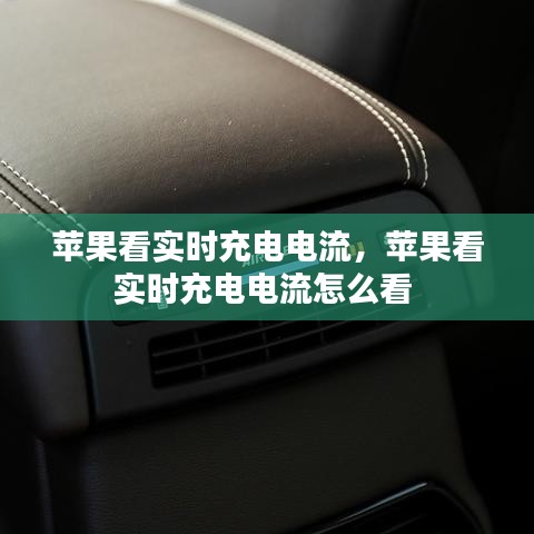 苹果看实时充电电流,苹果看实时充电电流怎么看