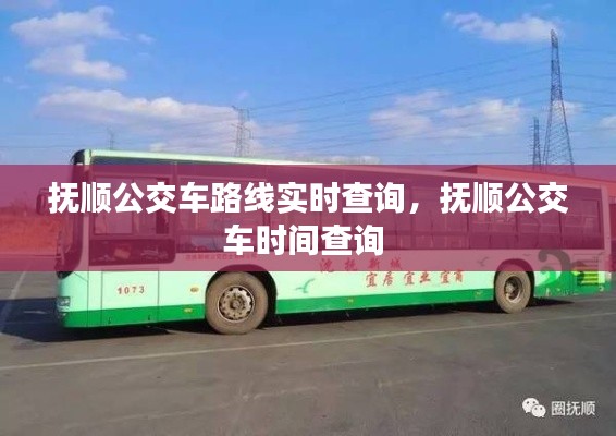 抚顺公交车路线实时查询,抚顺公交车时间查询
