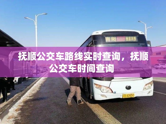 抚顺公交车路线实时查询,抚顺公交车时间查询