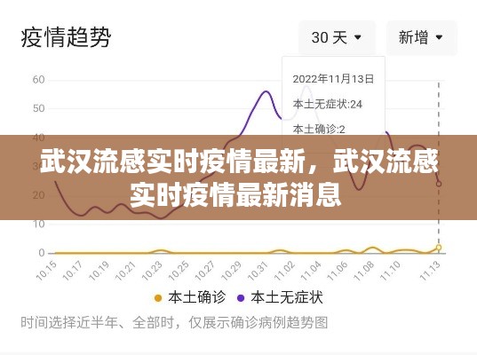 武汉流感实时疫情最新,武汉流感实时疫情最新消息