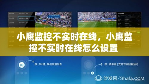 小鹰监控不实时在线,小鹰监控不实时在线怎么设置