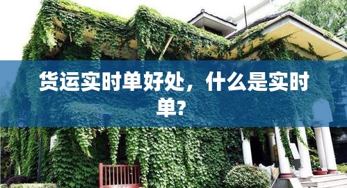 货运实时单好处,什么是实时单?
