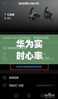 华为实时心率表怎么用的,华为心率app