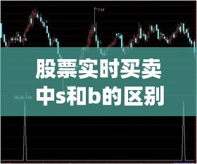 股票实时买卖中s和b的区别,s和b股票买卖中的意思