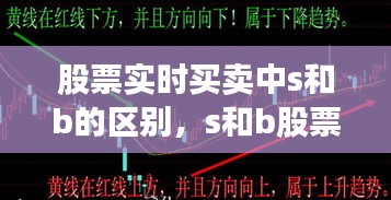 股票实时买卖中s和b的区别,s和b股票买卖中的意思