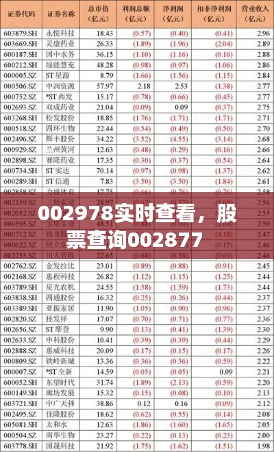 002978实时查看,股票查询002877