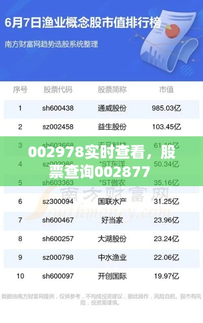 002978实时查看,股票查询002877