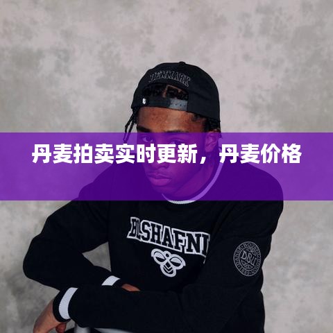 丹麦拍卖实时更新,丹麦价格