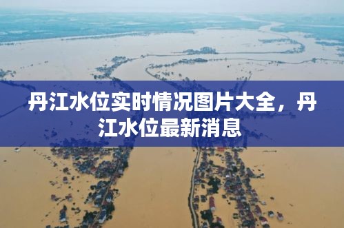 丹江水位实时情况图片大全,丹江水位最新消息