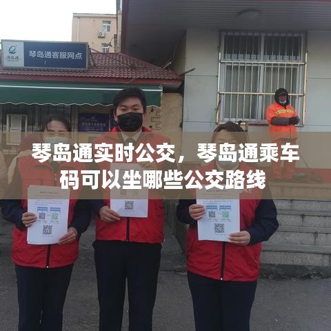 琴岛通实时公交,琴岛通乘车码可以坐哪些公交路线