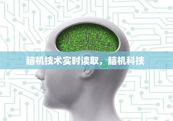 脑机技术实时读取,脑机科技