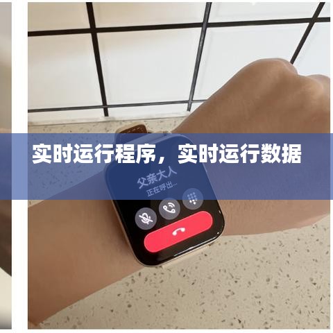 实时运行程序,实时运行数据