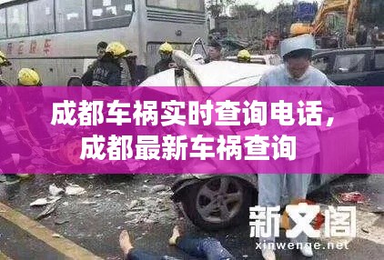 成都车祸实时查询电话,成都最新车祸查询