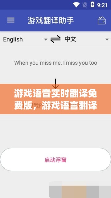 游戏语音实时翻译免费版,游戏语言翻译器