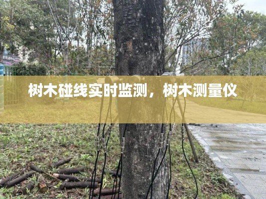 树木碰线实时监测,树木测量仪