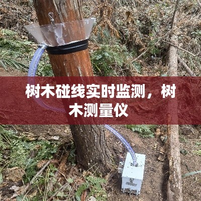 树木碰线实时监测,树木测量仪