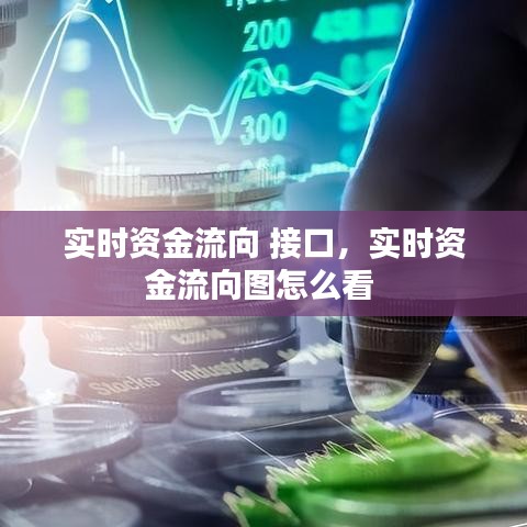 实时资金流向 接口,实时资金流向图怎么看