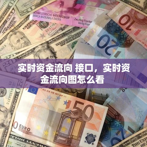 实时资金流向 接口,实时资金流向图怎么看