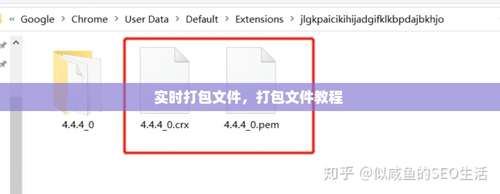 实时打包文件,打包文件教程