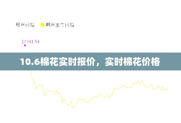 10.6棉花实时报价,实时棉花价格