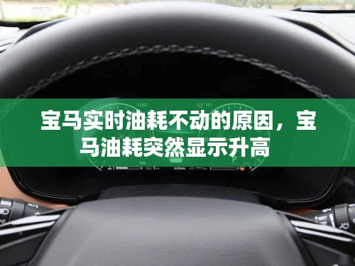 宝马实时油耗不动的原因,宝马油耗突然显示升高