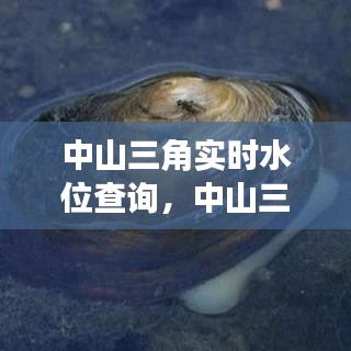 中山三角实时水位查询,中山三角供水公司电话