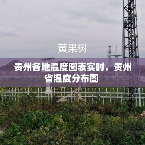 贵州各地温度图表实时,贵州省温度分布图