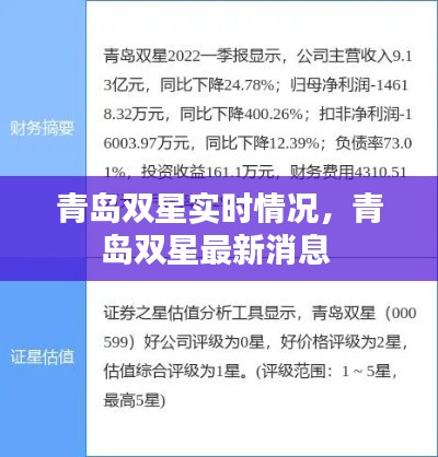 青岛双星实时情况,青岛双星最新消息