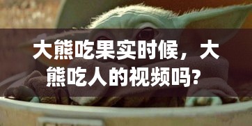 大熊吃果实时候,大熊吃人的视频吗?