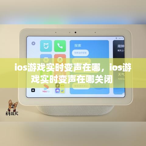 ios游戏实时变声在哪,ios游戏实时变声在哪关闭