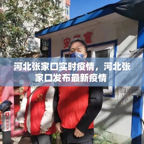 河北张家口实时疫情,河北张家口发布最新疫情