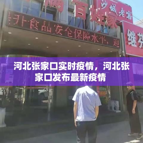 河北张家口实时疫情,河北张家口发布最新疫情