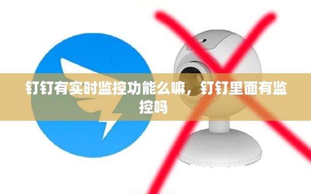 钉钉有实时监控功能么嘛,钉钉里面有监控吗