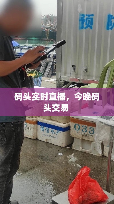 码头实时直播,今晚码头交易