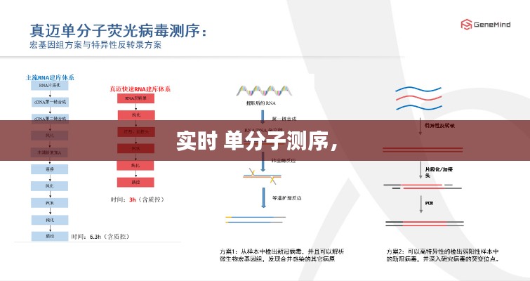 实时 单分子测序,