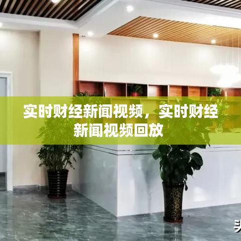 实时财经新闻视频,实时财经新闻视频回放