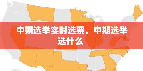 中期选举实时选票,中期选举选什么