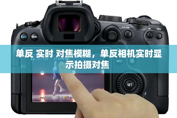 单反 实时 对焦模糊,单反相机实时显示拍摄对焦