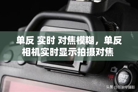 单反 实时 对焦模糊,单反相机实时显示拍摄对焦