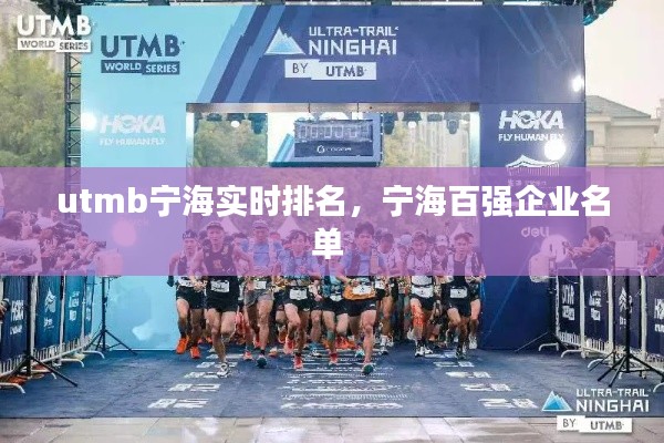 utmb宁海实时排名,宁海百强企业名单