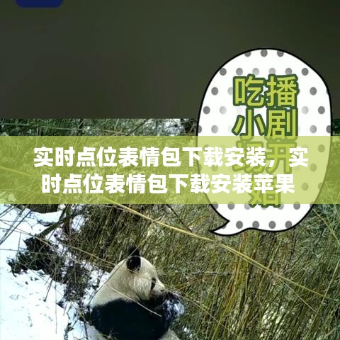 实时点位表情包下载安装,实时点位表情包下载安装苹果