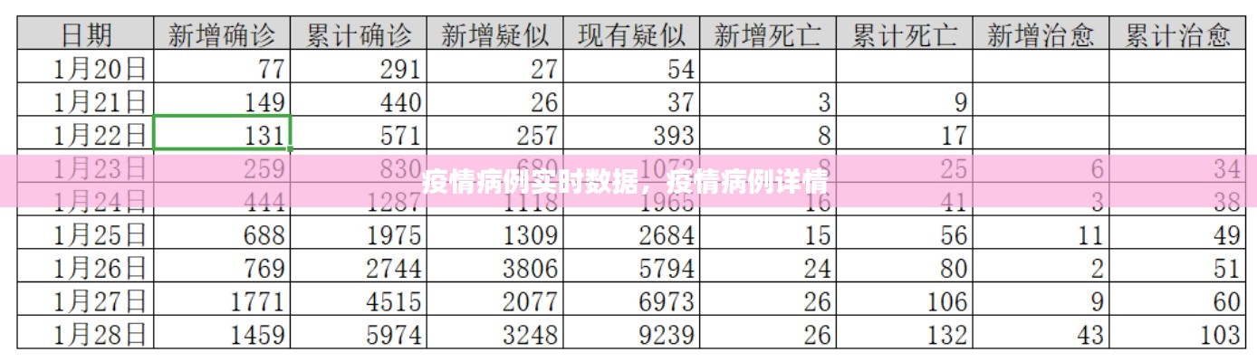 疫情病例实时数据,疫情病例详情
