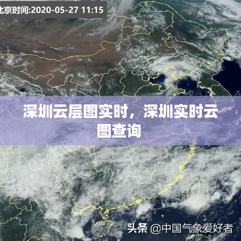 指李推张 第5页